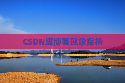CSDN盗博客现象探析